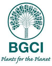 BCGI Logo